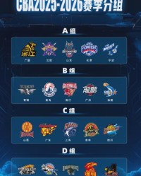 CBA新赛季分组和分档出炉！广东进死亡之组！辽篮运气爆棚