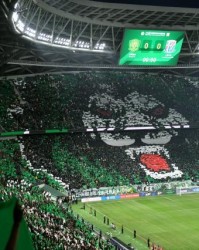 【2024中超巡礼之国安】低调中前行 亚冠目标仍未变